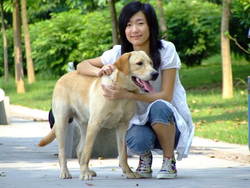 风中的绿叶的第一张照片--兰州相亲服务中心
