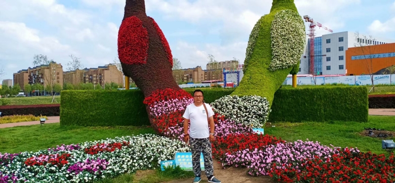 尘埃的第一张照片--兰州相亲服务中心