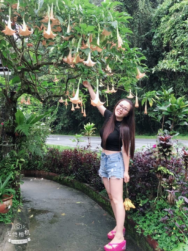 离异单身无子的第二张照片--兰州相亲服务中心