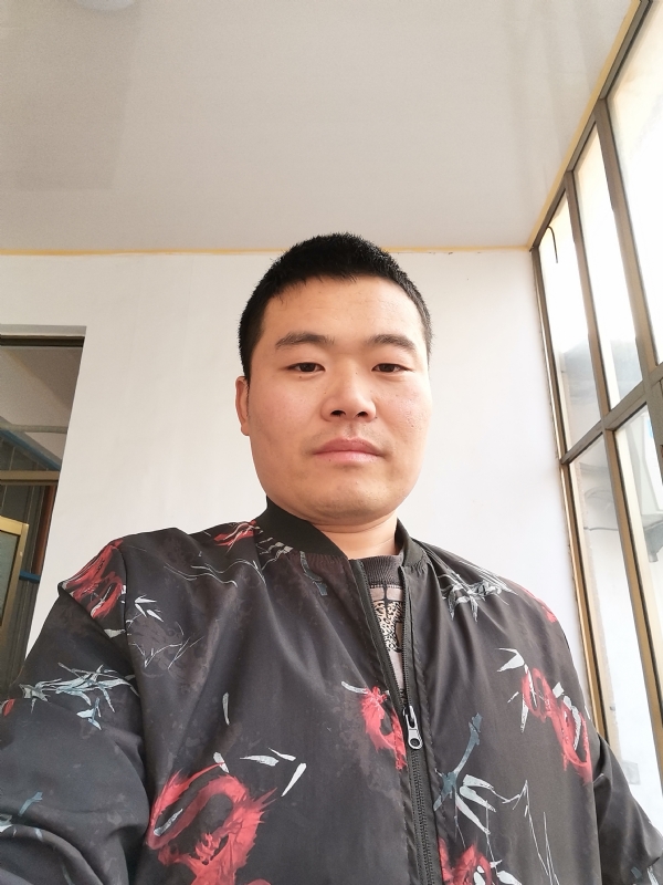 会飞的猪的第一张照片--兰州相亲服务中心