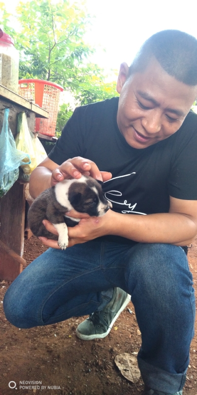 深圳相亲的第一张照片--兰州相亲服务中心