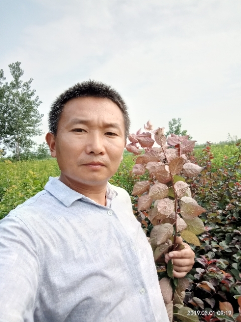 孩子爸的第一张照片--兰州相亲服务中心