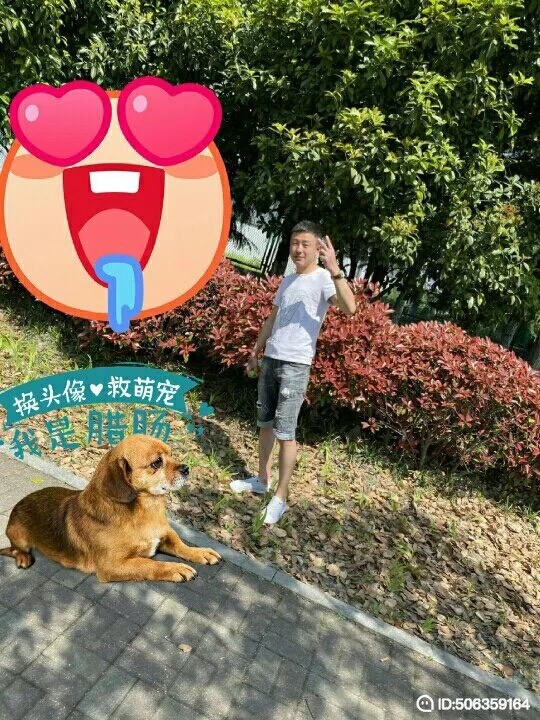 我若不坚强谁替我勇敢的第一张照片--兰州相亲服务中心