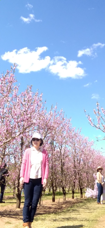 Grace的第二张照片--兰州相亲服务中心