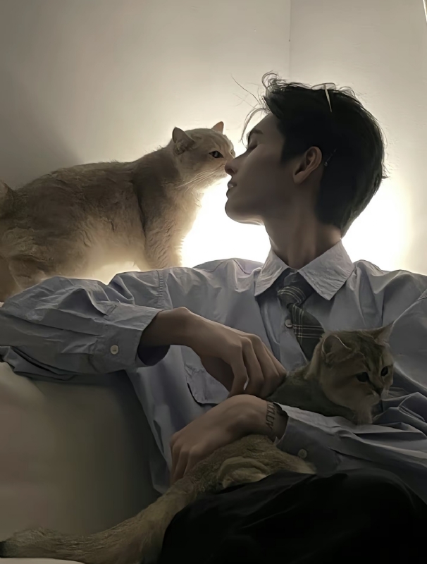 怪猫的第一张照片--兰州相亲服务中心