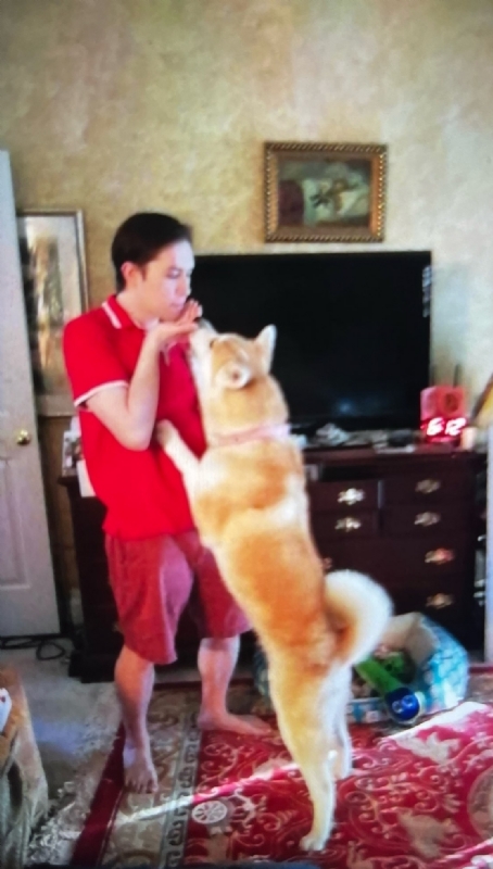 Leluch的第一张照片--兰州相亲服务中心