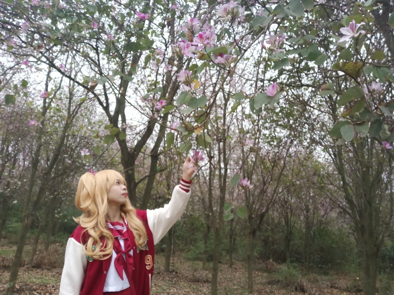 暮秋的第二张照片--兰州相亲服务中心