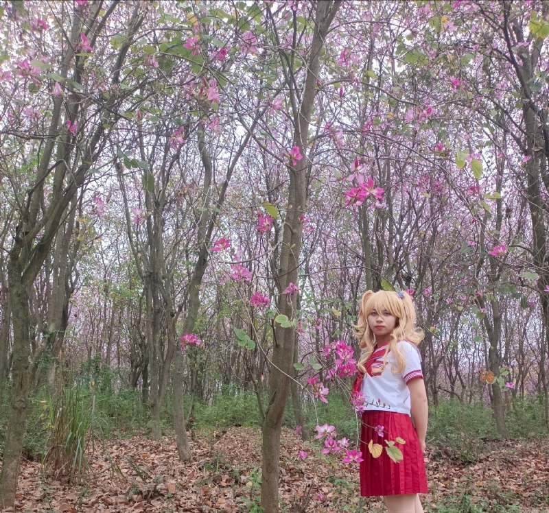 暮秋的第三张照片--兰州相亲服务中心