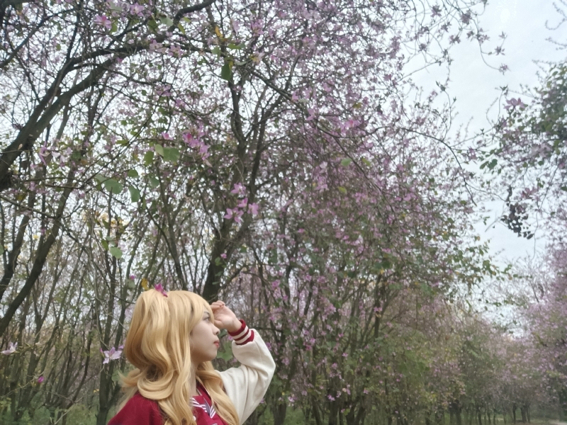 暮秋的第五张照片--兰州相亲服务中心